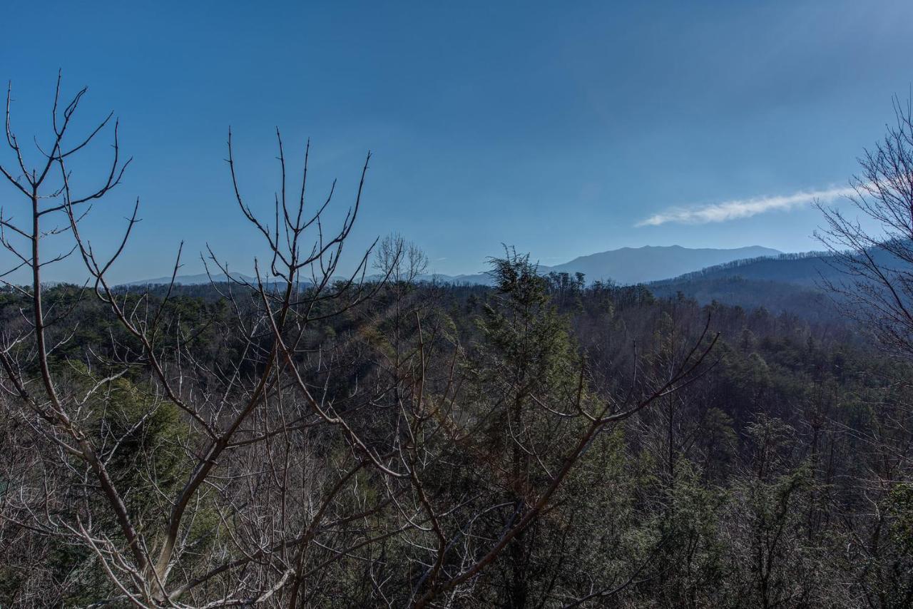 Aspens Envy Appartement Pigeon Forge Buitenkant foto